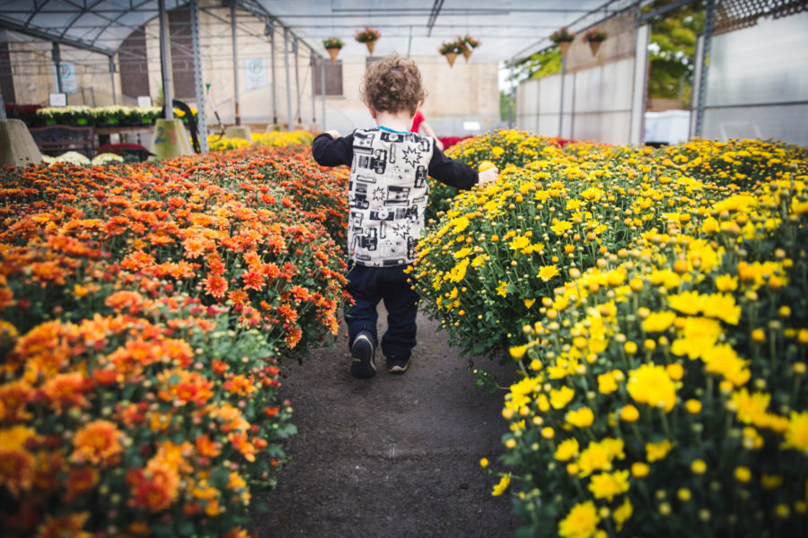 Atwater Market Photographer